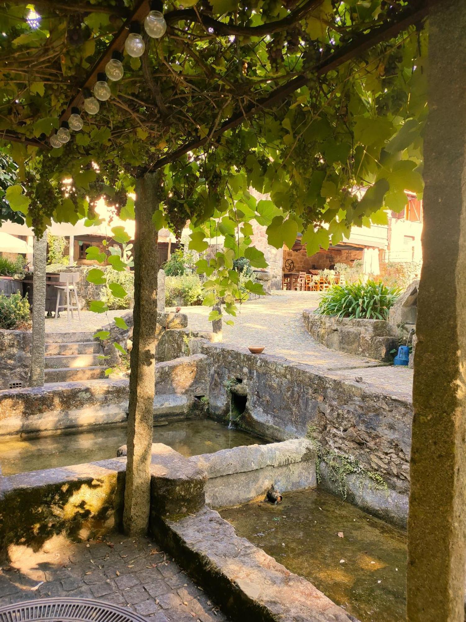 Quinta Padre Lobo Vendégház Santa Maria da Feira Kültér fotó